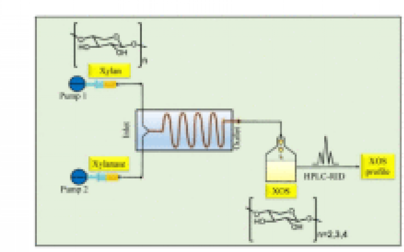 酶促水解連續(xù)生產(chǎn)木寡糖