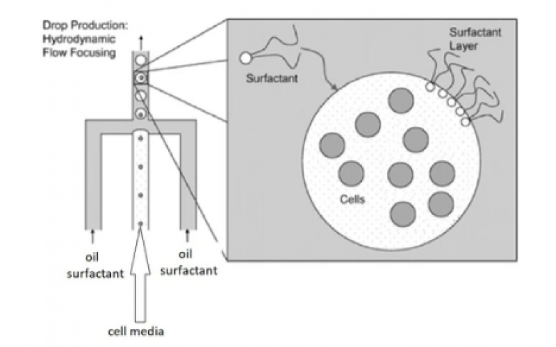 液滴生成油和表面活性劑選擇