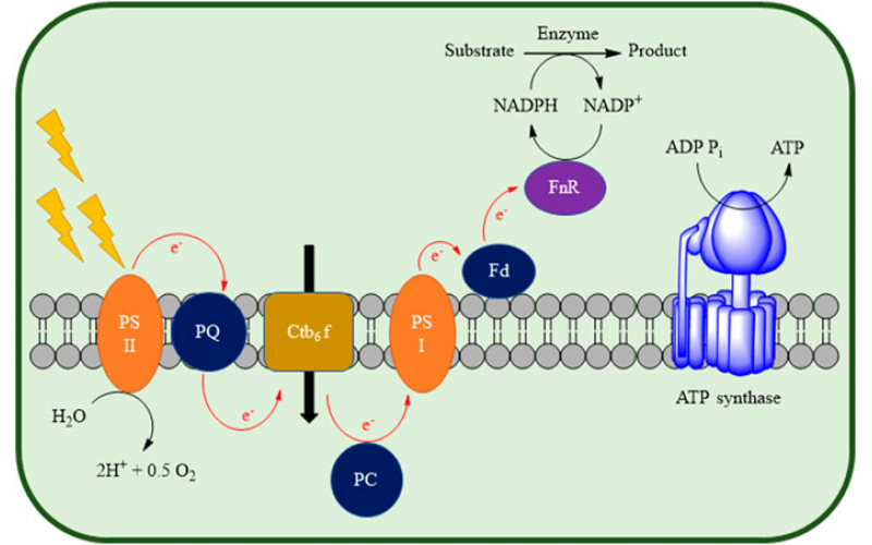 連續(xù)流微通道反應(yīng)器維護(hù)及保養(yǎng)注意事項(xiàng)