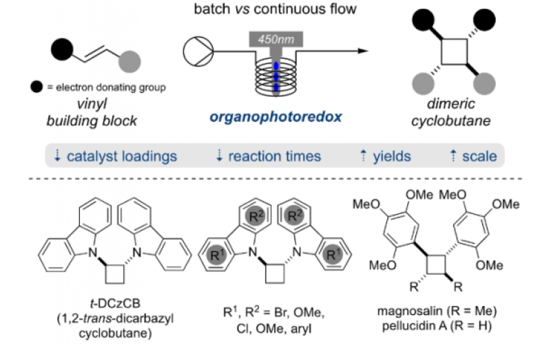 使用有機(jī)光氧化還原催化的 [2+2]-環(huán)加成在連續(xù)流動(dòng)條件下形成二聚環(huán)丁烷
