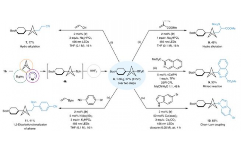 用于化學合成的微流控芯片實驗室技術(shù)