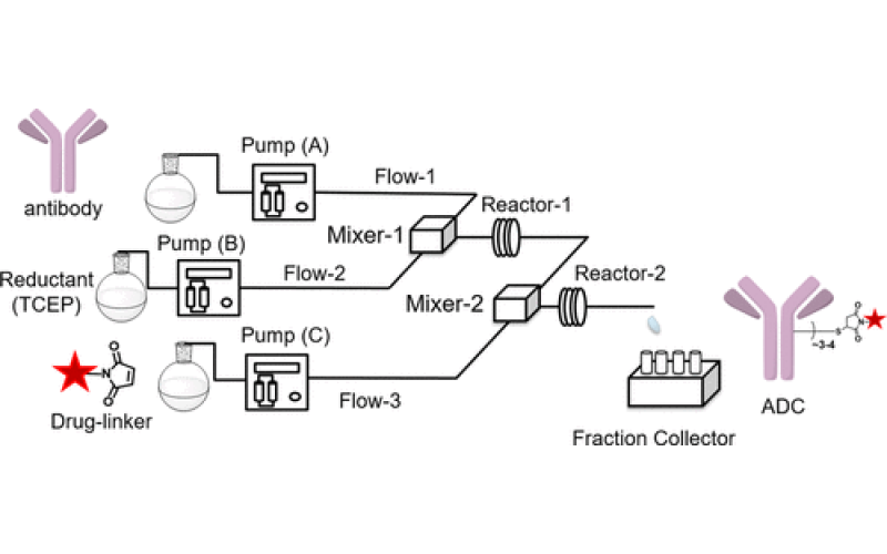 使用連續(xù)流微反應(yīng)器技術(shù)合成抗體-藥物偶聯(lián)物